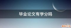 毕业论文有学分吗