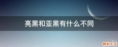 亮黑和亚黑有什么不同