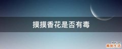 摸摸香花是否有毒