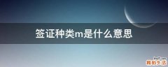 签证种类m是什么意思