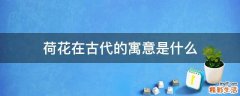 荷花在古代的寓意是什么