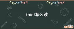 thief怎么读