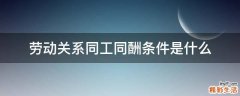 劳动关系同工同酬条件是什么
