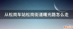 从松岗车站松岗街道曙光路怎么走