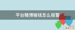 平台赌博输钱怎么报警