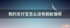 我的支付宝怎么没有蚂蚁借呗