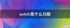 autoh是什么功能