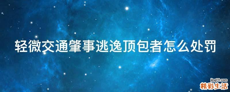 轻微交通肇事逃逸顶包者怎么处罚