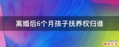 离婚后6个月孩子抚养权归谁