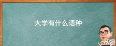 大学有什么语种