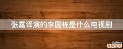 张嘉译演的李国栋是什么电视剧