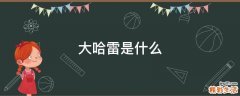 大哈雷是什么