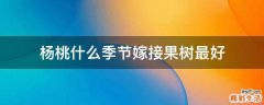 杨桃什么季节嫁接果树最好