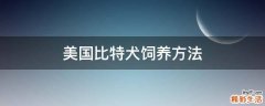 美国比特犬饲养方法