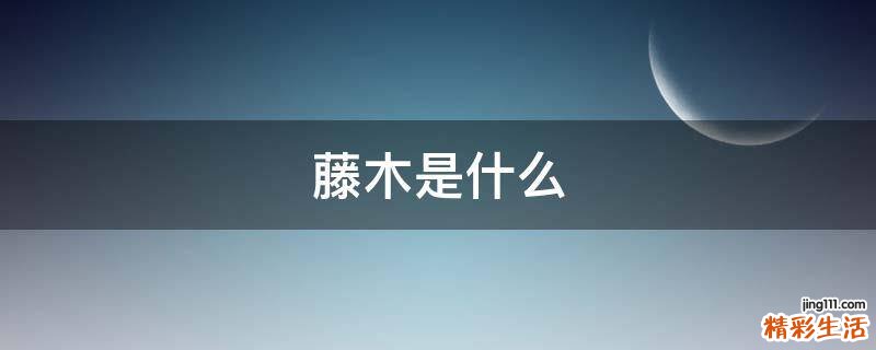 藤木是什么