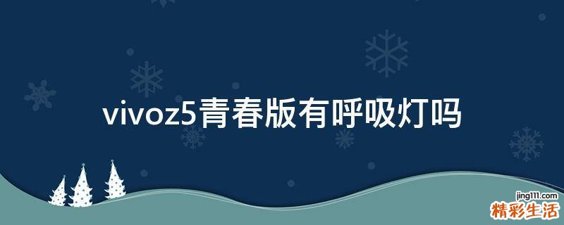 vivoz5青春版有呼吸灯吗
