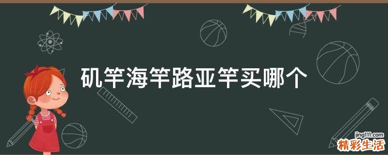 矶竿海竿路亚竿买哪个