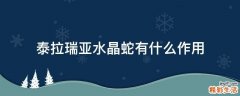 泰拉瑞亚水晶蛇有什么作用