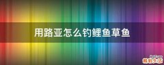 用路亚怎么钓鲤鱼草鱼