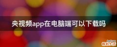 央视频app在电脑端可以下载吗