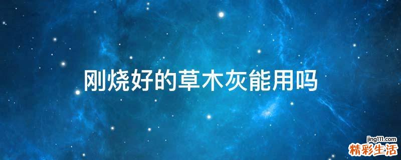 刚烧好的草木灰能用吗