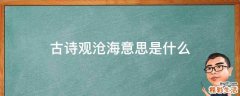 古诗观沧海意思是什么