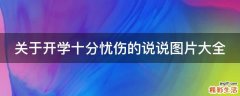 关于开学十分忧伤的说说图片大全