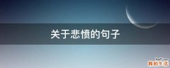 关于悲愤的句子