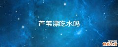 芦苇漂吃水吗