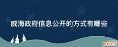 威海政府信息公开的方式有哪些