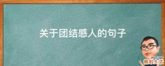 关于团结感人的句子