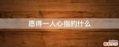 愿得一人心指的什么