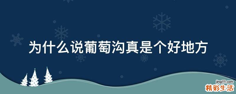 为什么说葡萄沟真是个好地方