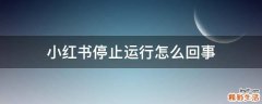 小红书停止运行怎么回事