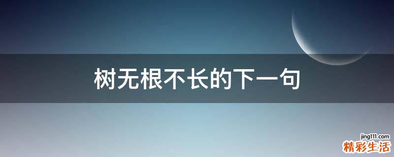 树无根不长的下一句