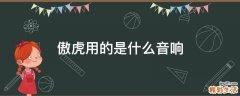 傲虎用的是什么音响