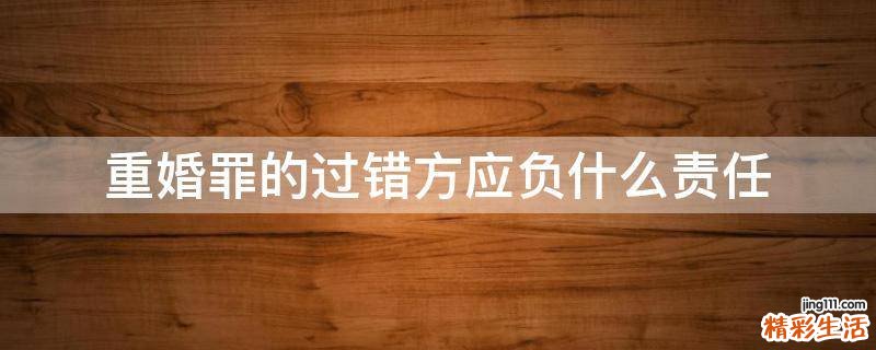 重婚罪的过错方应负什么责任