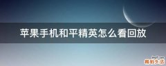 苹果手机和平精英怎么看回放