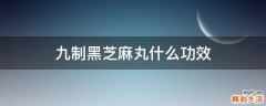 九制黑芝麻丸什么功效
