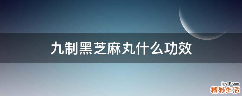 九制黑芝麻丸什么功效