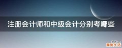 注册会计师和中级会计分别考哪些