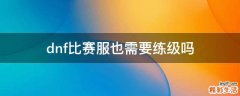 dnf比赛服也需要练级吗