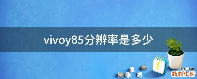 vivoy85分辨率是多少
