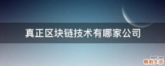 真正区块链技术有哪家公司