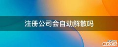 注册公司会自动解散吗