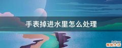 手表掉进水里怎么处理