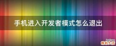 手机进入开发者模式怎么退出