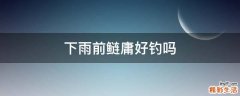 下雨前鲢庸好钓吗