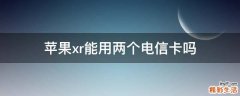 苹果xr能用两个电信卡吗