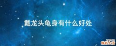 戴龙头龟身有什么好处